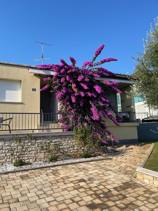 App Forza Apartment Umag Exterior photo